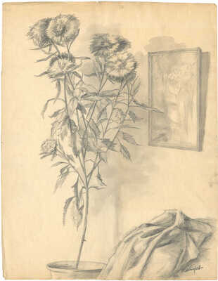 Чеботарёв Константин Константинович. Георгины 